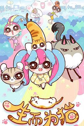 温州正规seo优化的网站费用